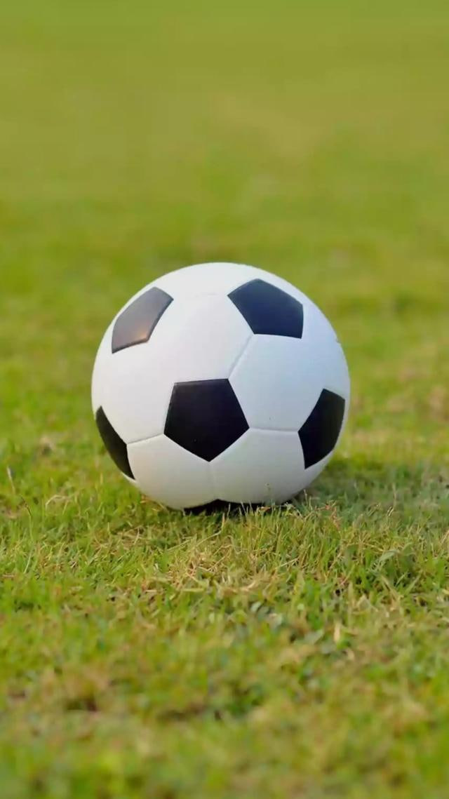 多平台支持展示